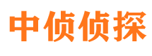 源汇侦探公司